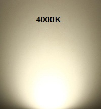 Đèn đường LED ELS1005