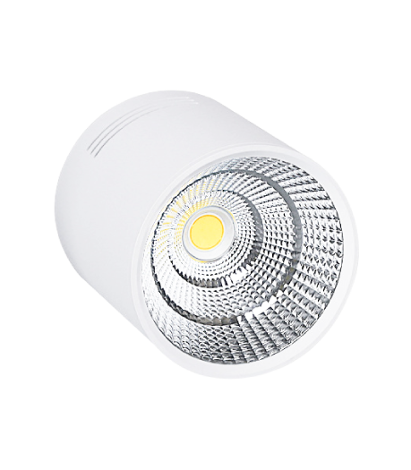 Downlight lắp nổi COB 12W ELD102