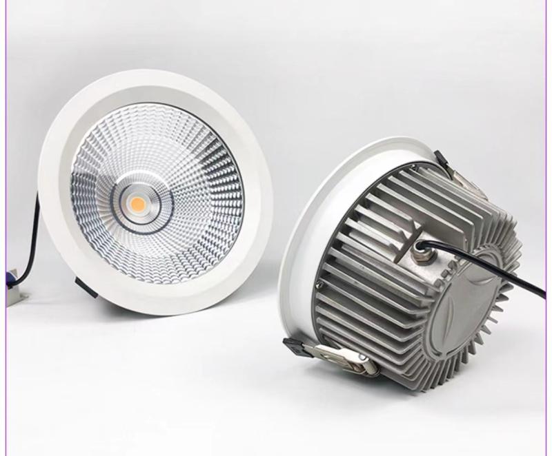 Đèn Downlight COB chống thấm 40W DAD008