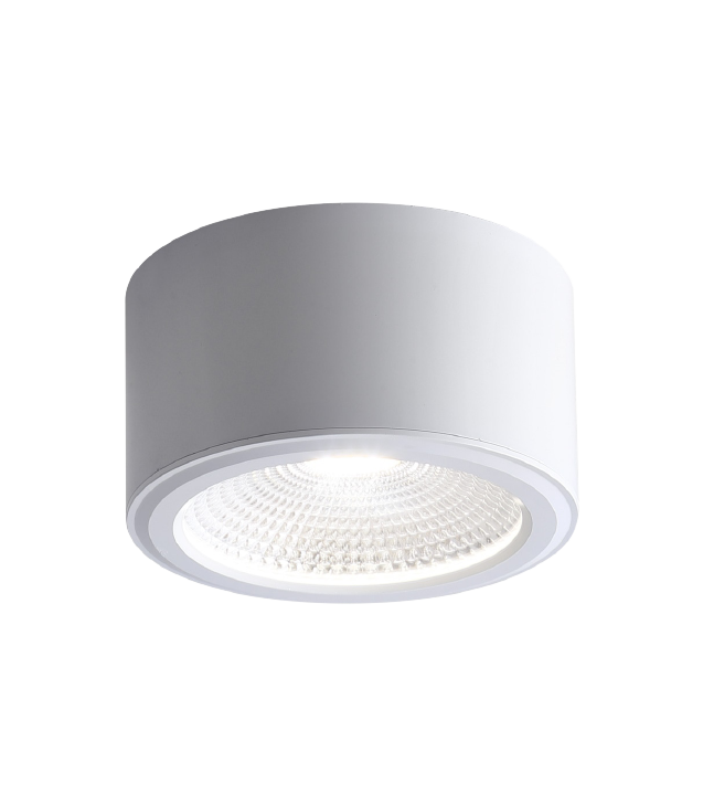 Downlight lắp nổi COB 7W ELD101 đa sắc